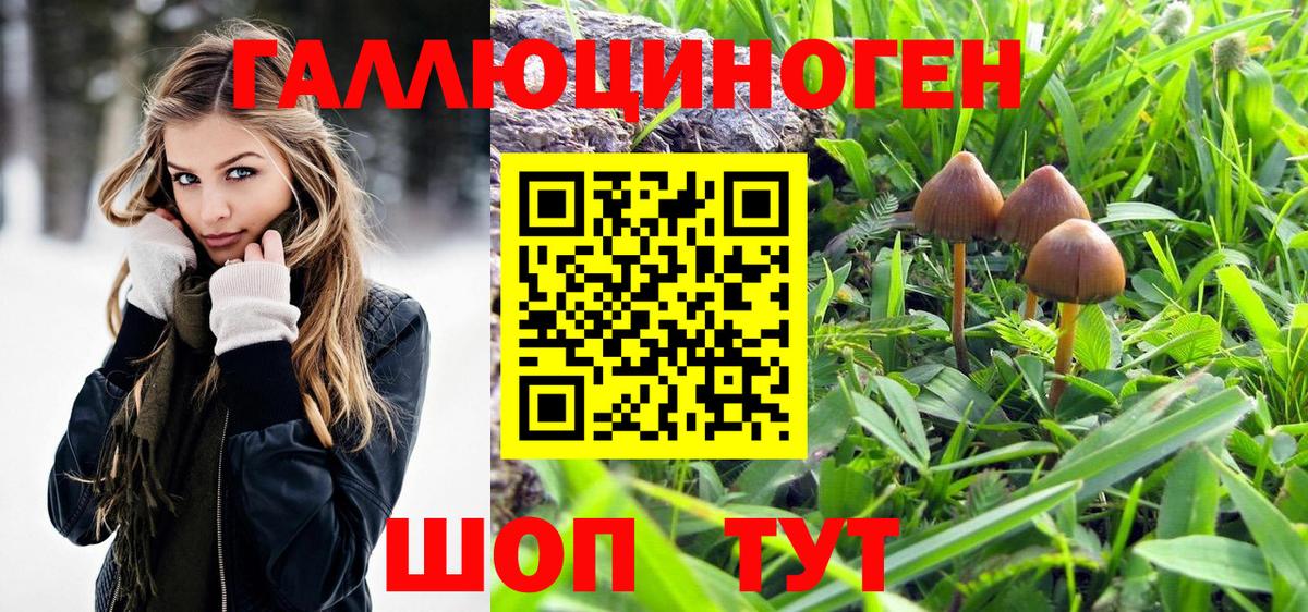Галлюциногенные грибы GOLDEN TEACHER Бузулук