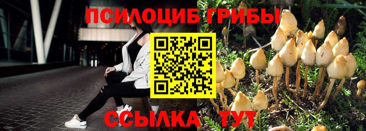 Псилоцибиновые грибы прущие грибы  Вход с VPN  Бузулук 